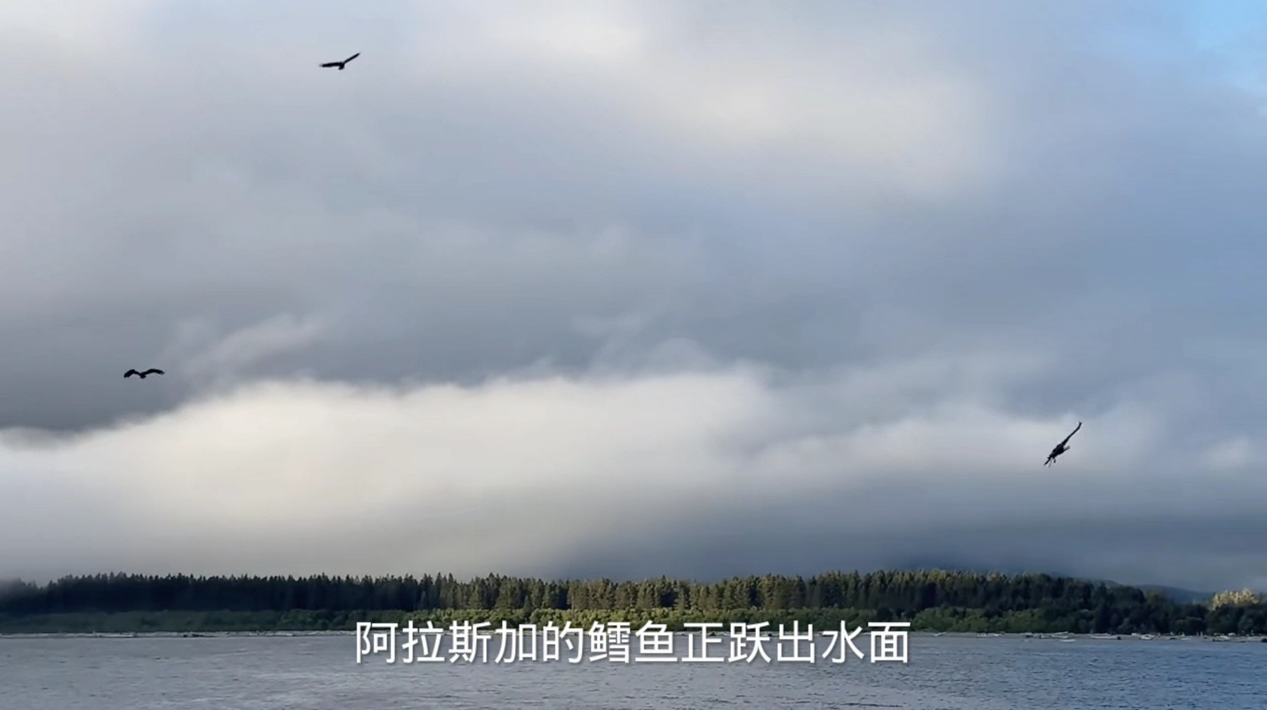 人像分割demo